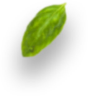 paralax-item