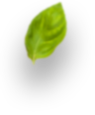 overlay-leaf